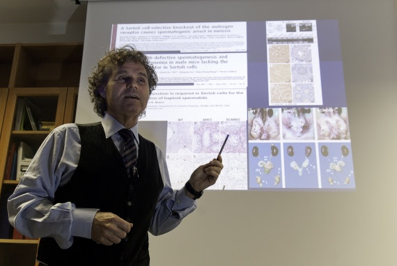 Pfas, gravidanza a rischio e problemi mestruali