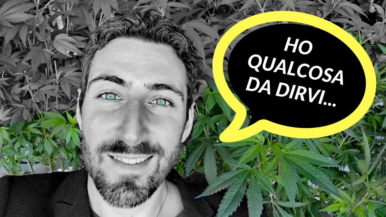 Cannabis #senzacensura, perchè mettere fuorilegge una pianta spontanea?