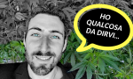 Cannabis #senzacensura, perchè mettere fuorilegge una pianta spontanea?