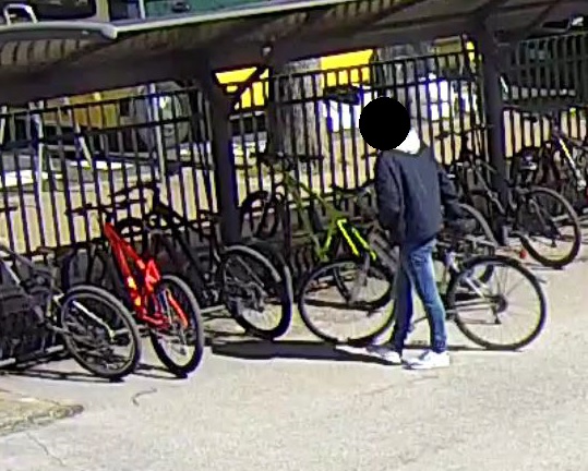 Trovato il ladro di biciclette