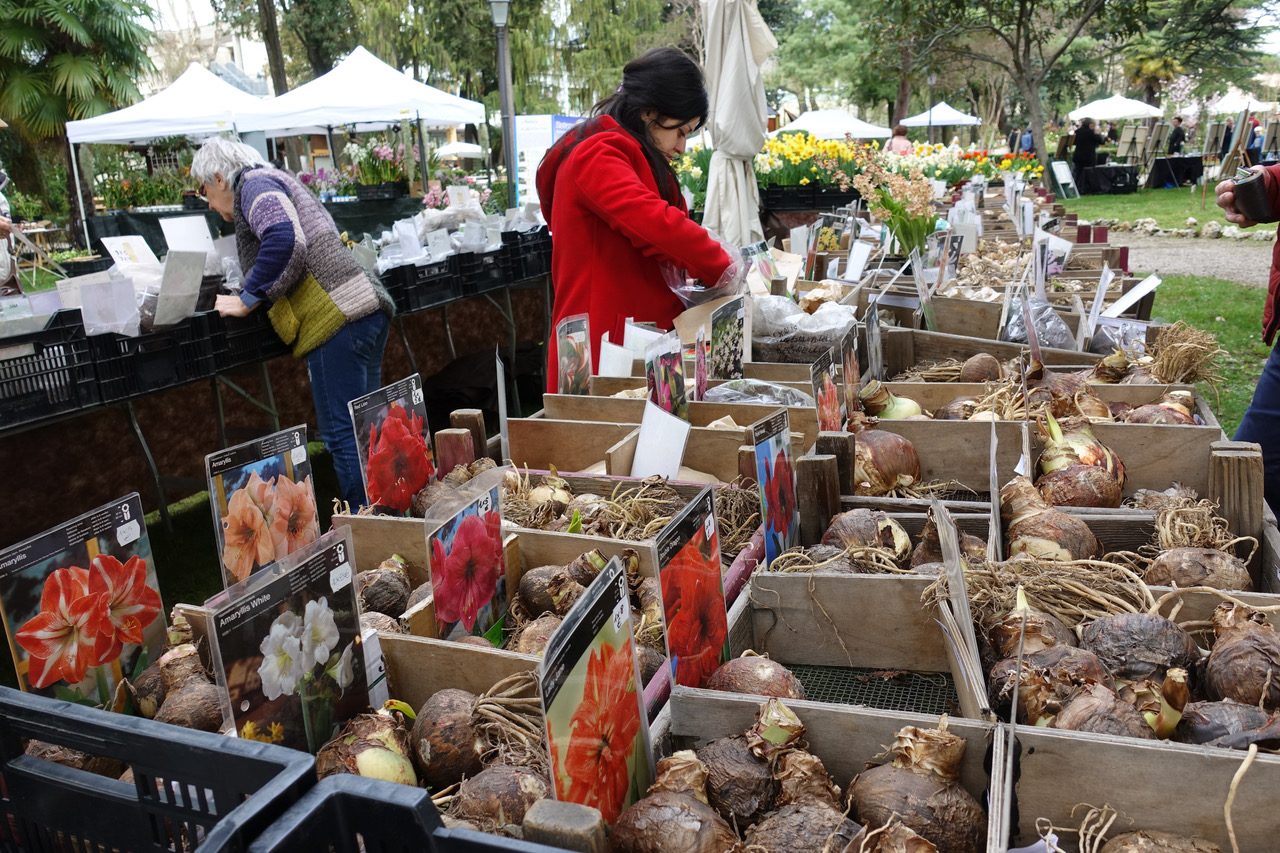 Di rara pianta, al Giardino Parolini di Bassano del Grappa