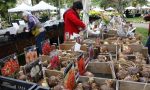 Di rara pianta, al Giardino Parolini di Bassano del Grappa