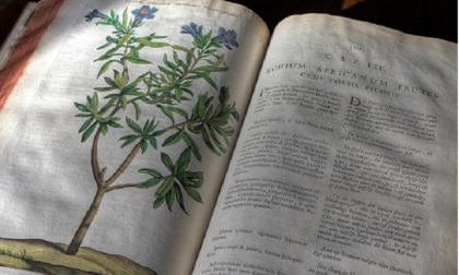“Di rara pianta”: La mostra di antichi libri di botanica della Biblioteca Civica