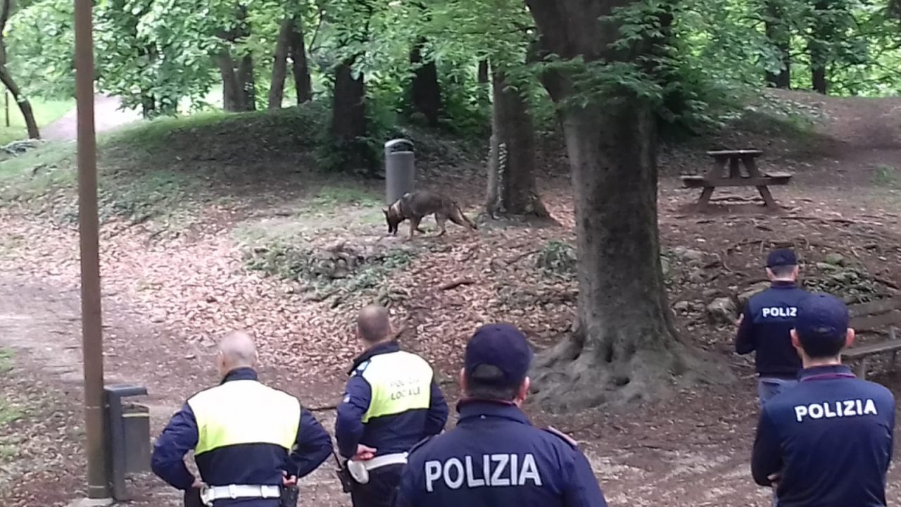 Schio, controlli straordinari del territorio