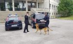 Controllo antidroga dei Carabinieri all’I.P.S.I.A “Masotto” a Noventa Vicentina