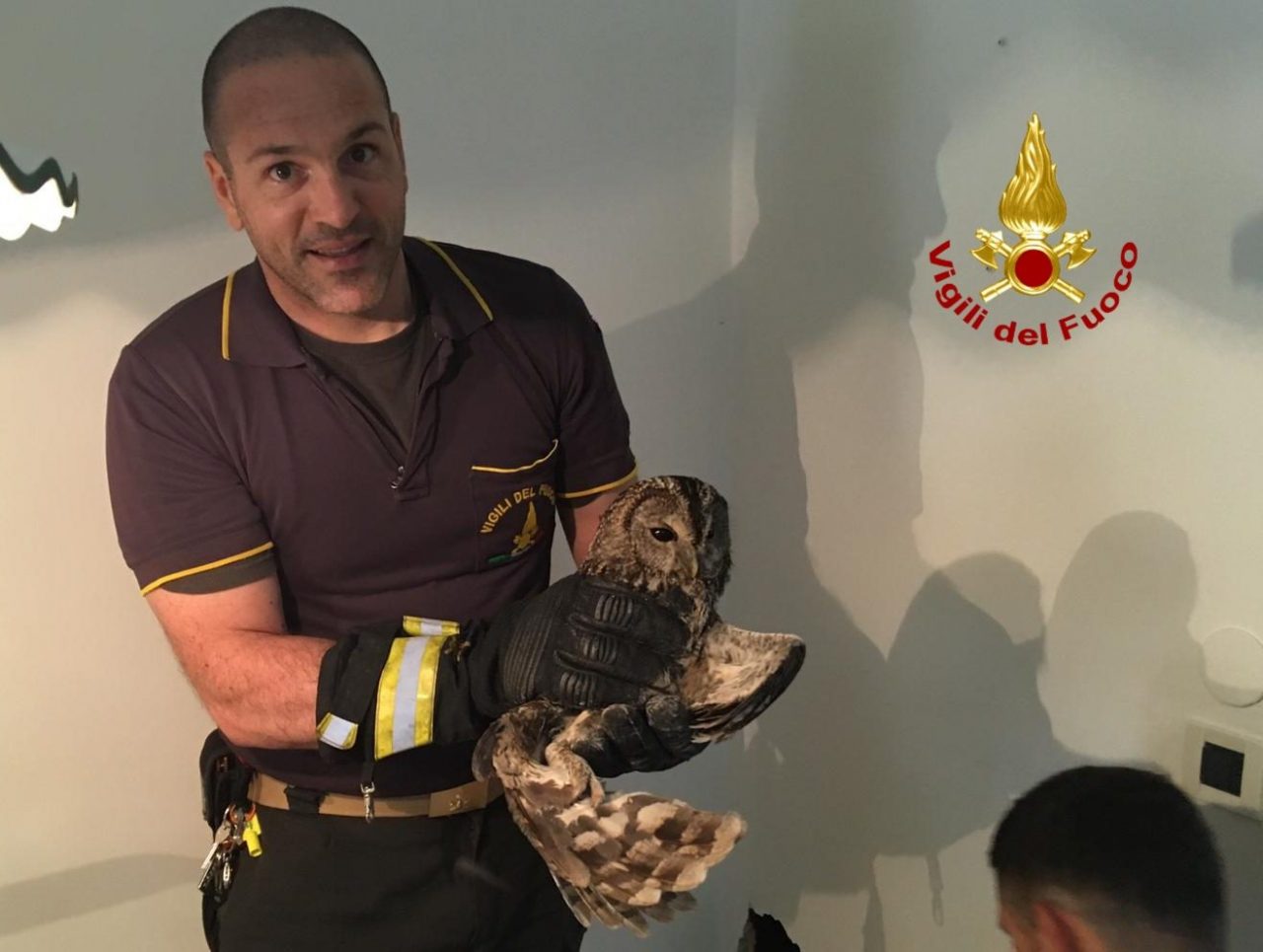 Allocco salvato dalla canna fumaria