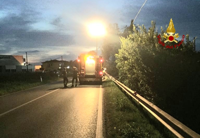 Pompiere investito a bordostrada da un’auto