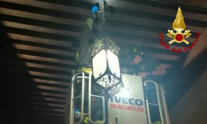 Piccione rimane bloccato nel lampadario di un antico palazzo a Vicenza