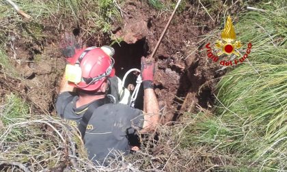 Capretta cade in una buca profonda 15 metri sul Monte Fior