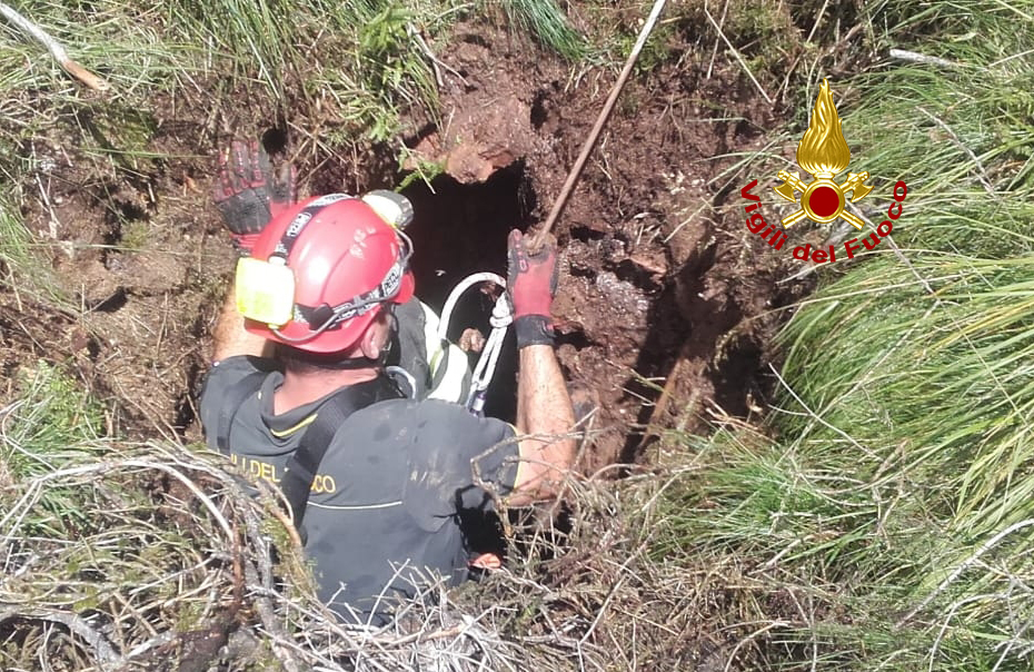 Capretta cade in una buca profonda 15 metri sul Monte Fior