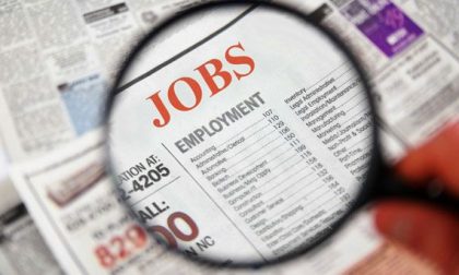 Disoccupazione: il Comune di Rosà aderisce al bando per lavori di pubblica utilità