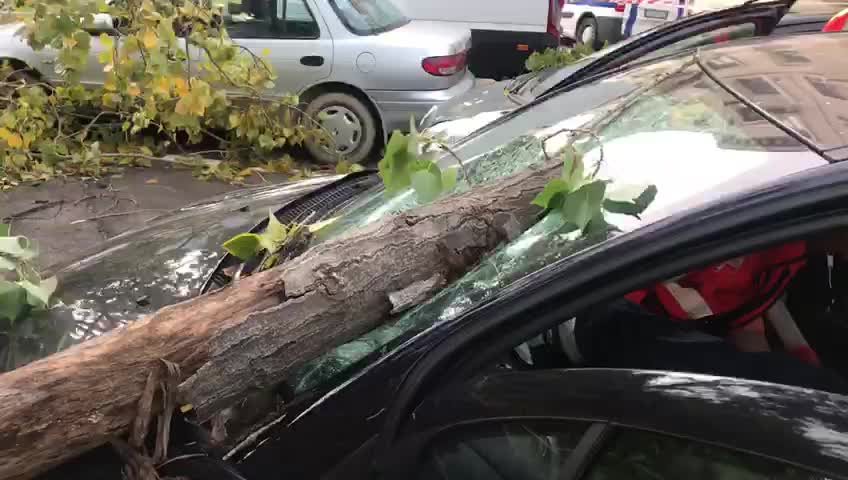 Pioggia, vento e danni nel Vicentino
