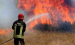 Cento mucche a rischio di essere arse vive: incendio devastante nella notte