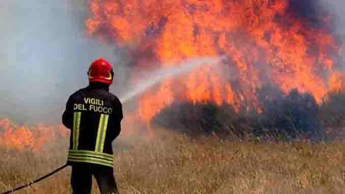 Cento mucche a rischio di essere arse vive: incendio devastante nella notte
