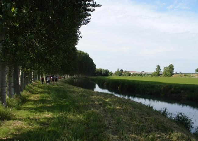 5.564 tonnellate: è questa la stima delle emissioni di gas serra evitate da Etra nel 2018