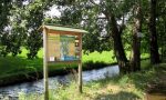 La passeggiata teatrale lungo il fiume Brenta