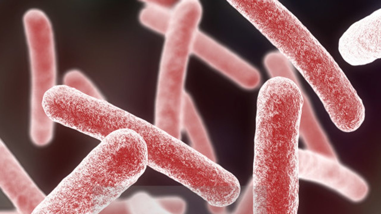 Vicenza: uccisa dal batterio killer, parla la figlia