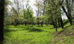 L'Oasi che rifiorisce: a Nove fra natura, verde e tanti eventi