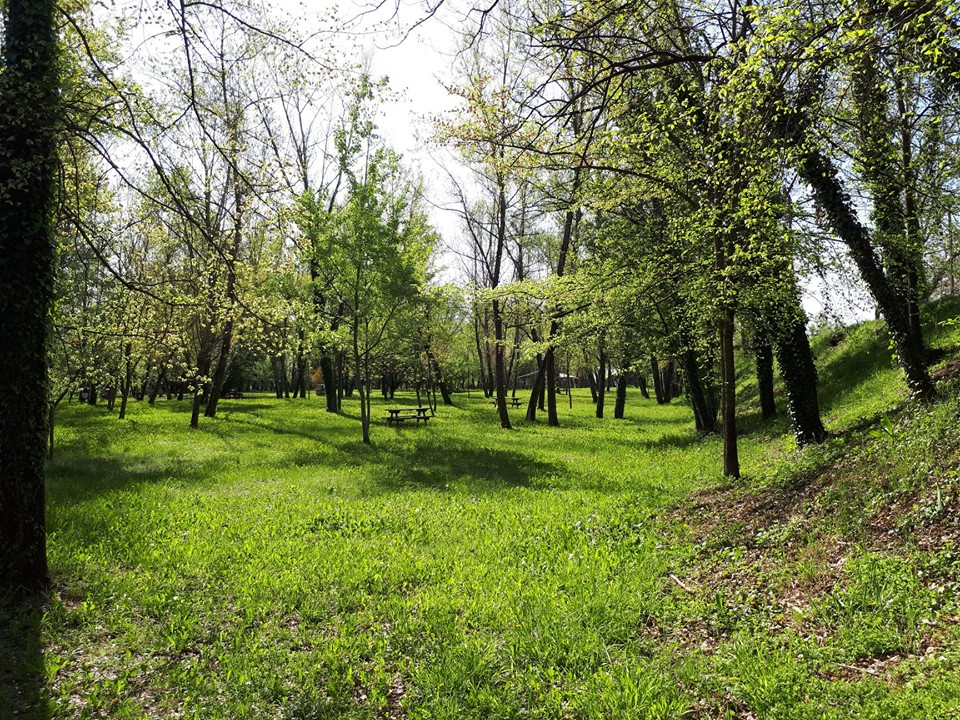 L’Oasi che rifiorisce: a Nove fra natura, verde e tanti eventi