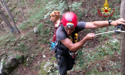 Salvati cane e padrone, caduti in un dirupo