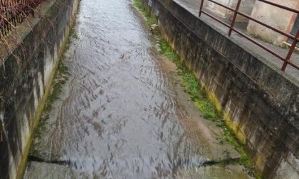 Zanoni: "Centralina idroelettrica sul torrente Astico, la Regione faccia rispettare la legge"
