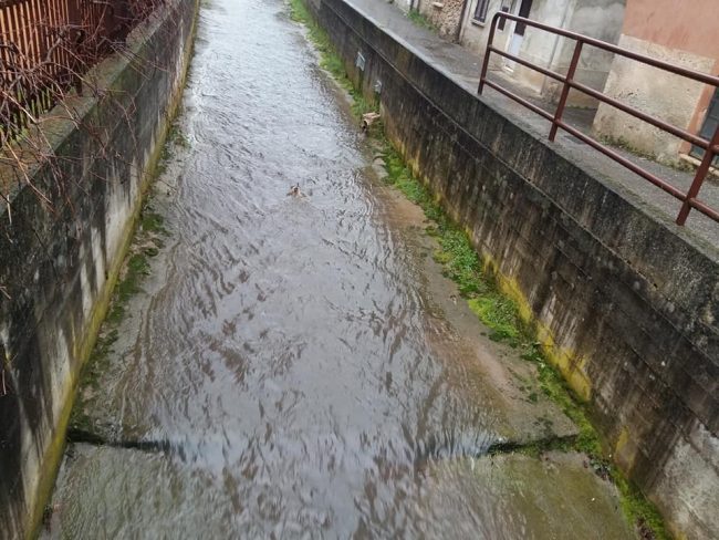 Zanoni: “Centralina idroelettrica sul torrente Astico, la Regione faccia rispettare la legge”