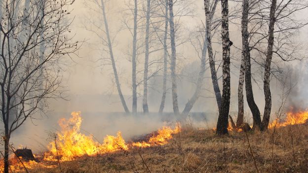 Incendi dolosi: indagini a buon punto, è caccia al piromane