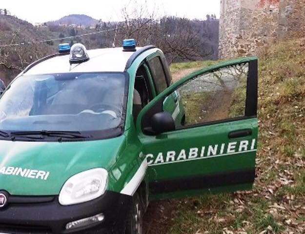Sessantenne trovato senza vita nei boschi di Conco