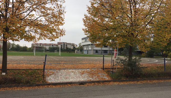 Malore fatale durante l’ora di educazione fisica: muore studente di 14 anni