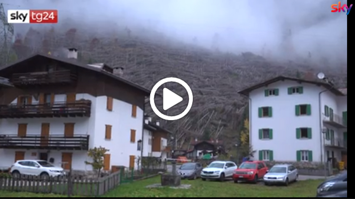 Un anno fa la tempesta Vaia tra Veneto e Trentino VIDEO