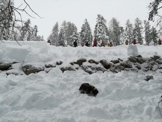 Travolti da una valanga a Cortina, salvati entrambi