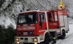 Cade un albero e blocca la strada: Rimosso dai vigili del fuoco