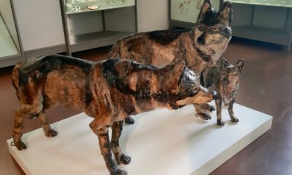 Mostre "15baj" e "Arteologia-Oltre l'Etica" al Museo Naturalistico Archeologico fino al 22