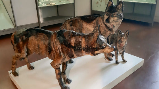 Mostre “15baj” e “Arteologia-Oltre l’Etica” al Museo Naturalistico Archeologico fino al 22