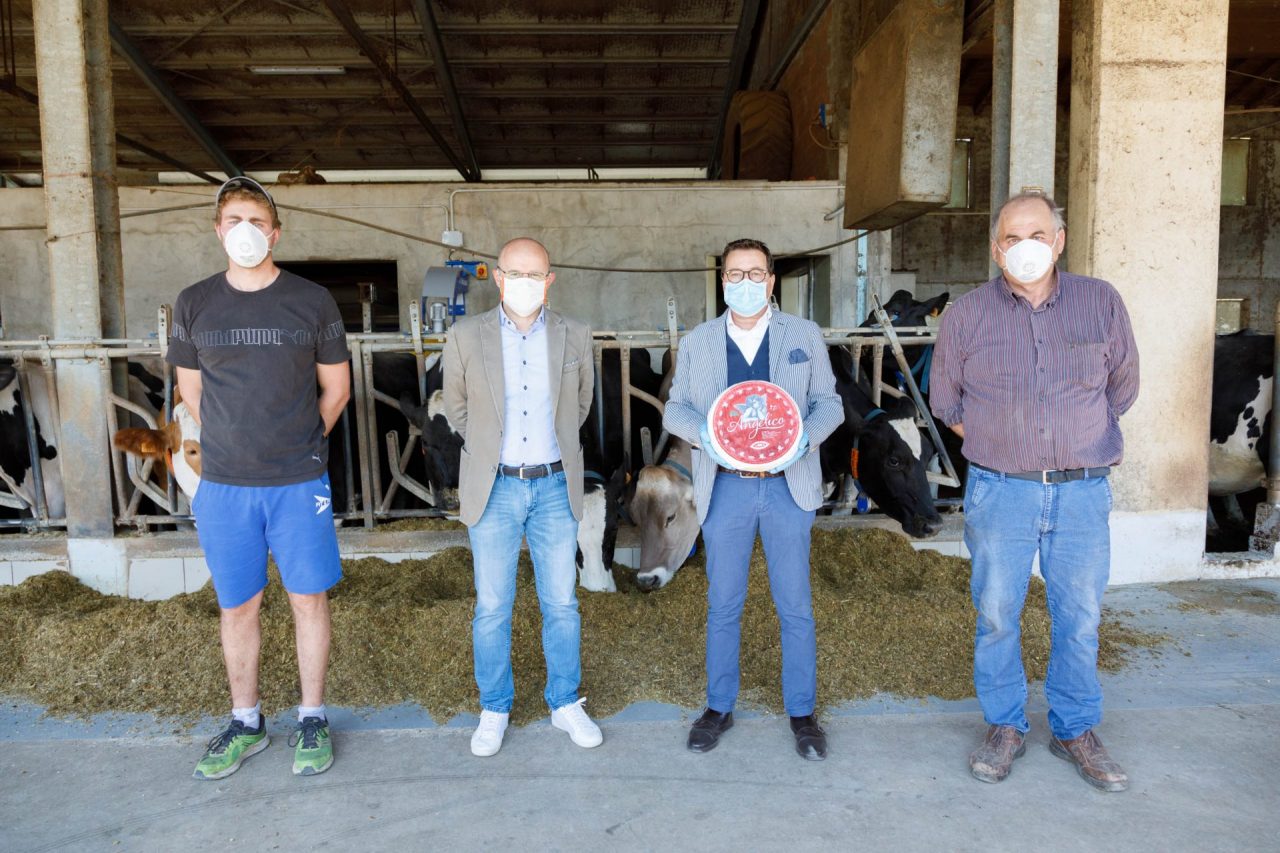 Nasce “l’Angelico di Montagna”: primo formaggio che premia i produttori della Pedemontana