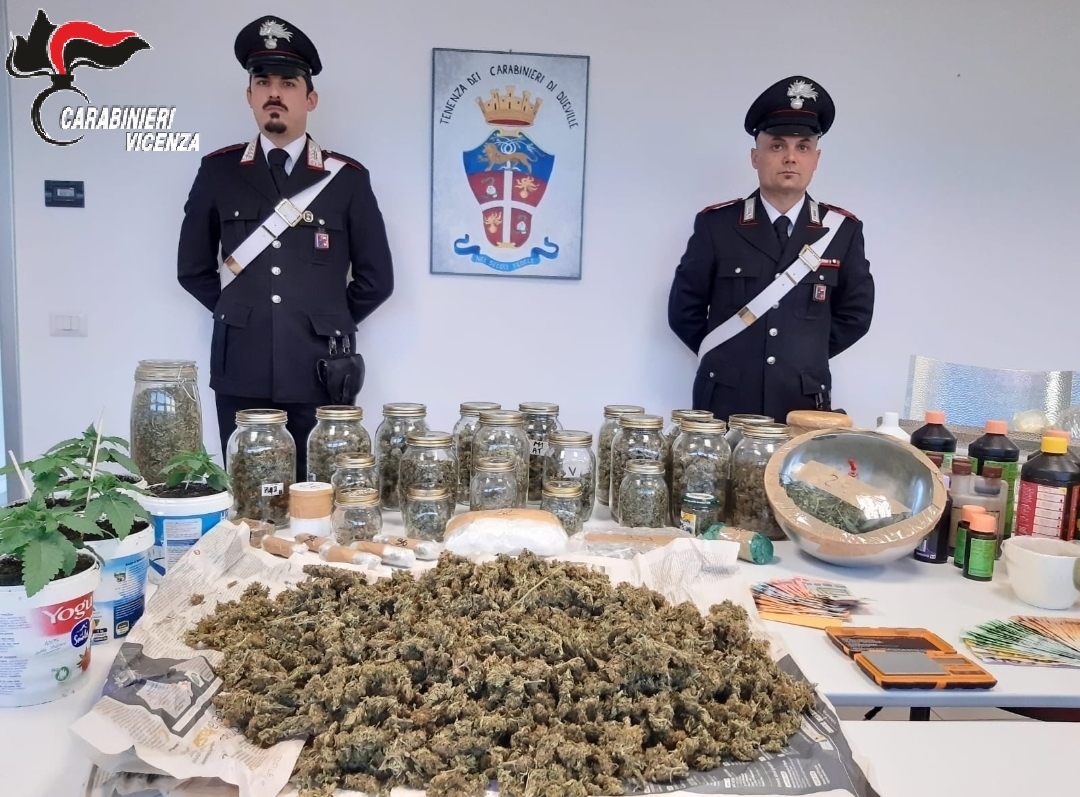 C’è il coronavirus, ma la coltivazione di cannabis non si ferma a Dueville