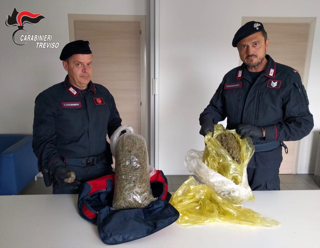 Nei guai una 24enne di Bassano del Grappa: aveva 2,2 chili di marijuana essiccata
