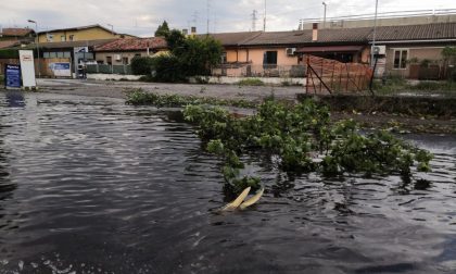 Danni maltempo, colpiti soprattutto vigneti e colture estensive. Pan: “Censimento in corso”