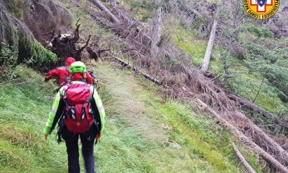 Escursionista scivola lungo una mulattiera sul Monte Grappa e si ferisce a una caviglia