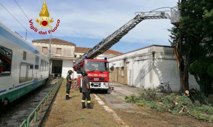 Maltempo in Veneto: oltre 180 interventi dei Vigili del fuoco nella regione – FOTO