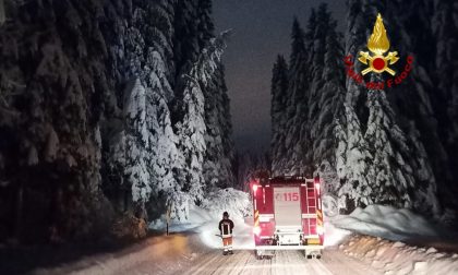 Bassano e Asiago "divise" dagli abeti crollati, l'intervento dei Vigili del fuoco