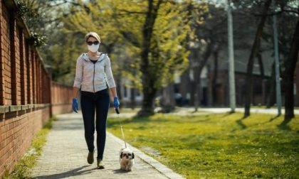 Natale a spasso con il cane in zona rossa: ecco come comportarsi