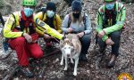 Monte Grappa, scappa durante una passeggiata: Maya recuperata dal Soccorso Alpino