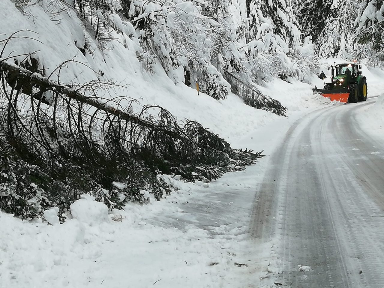 Emergenza neve, situazione più critica a Roana. Zaia: “Pronto lo stato di crisi” – GALLERY