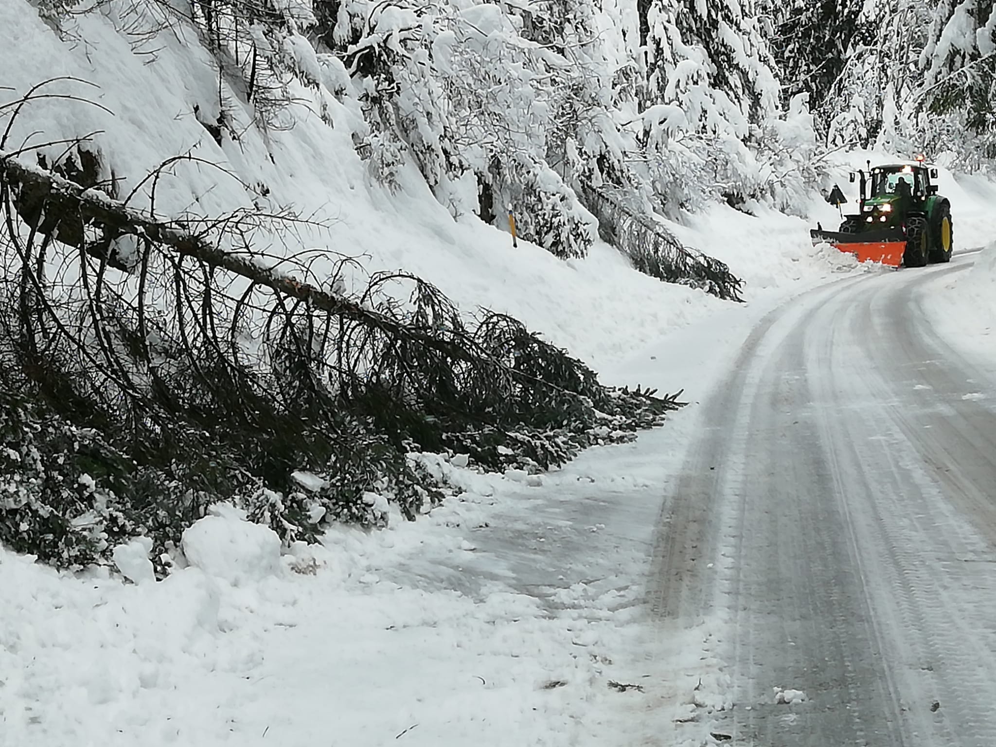 Emergenza neve, situazione più critica a Roana. Zaia: "Pronto lo stato di crisi" - VIDEO e GALLERY