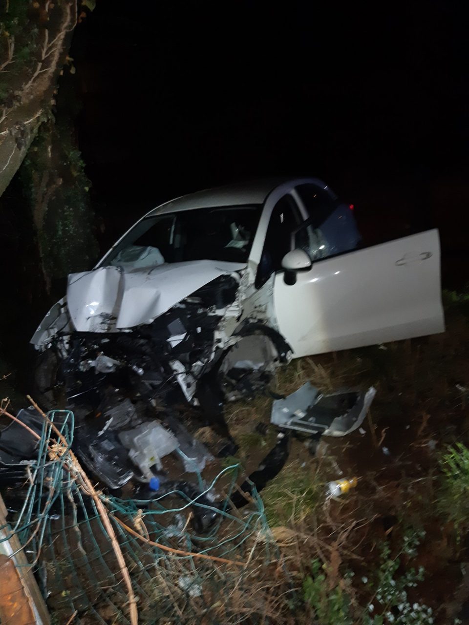 Perde il controllo dell’auto e si schianta contro un albero, era ubriaco: patente ritirata