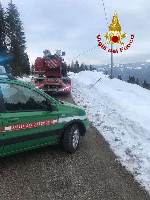 Abete cade sui cavi elettrici a Enego, intervengono i Vigili del fuoco