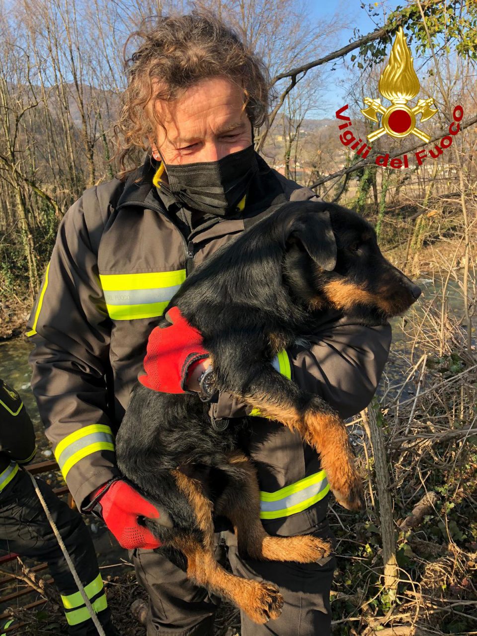 Le foto del salvataggio di Rocky, bracco tedesco caduto nell’alveo del Chiampo