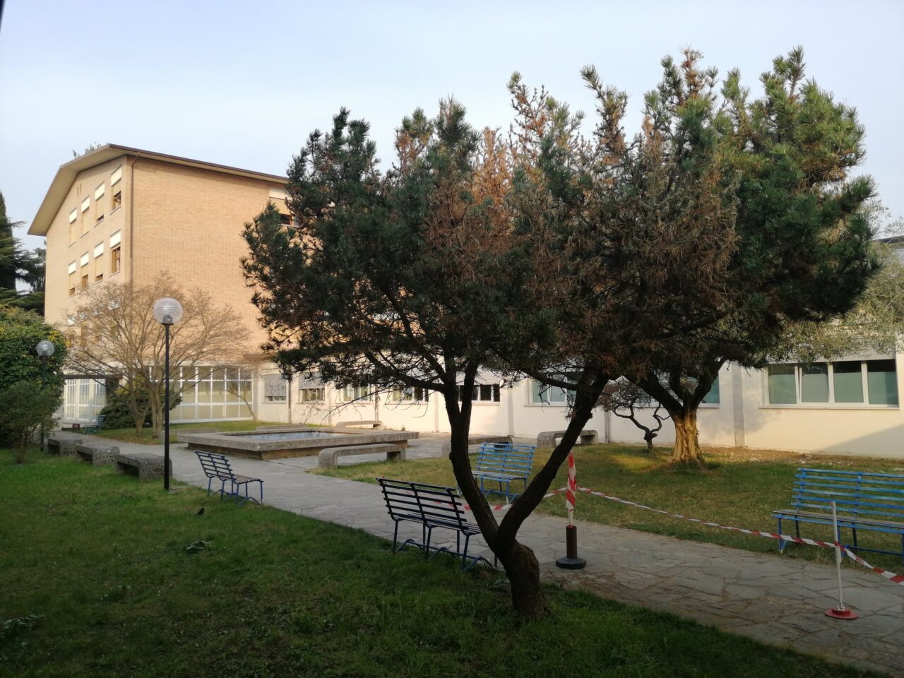 Studente si accascia e muore in Dad: aveva assunto sostanze comprate sul web