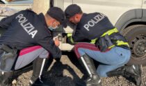 Fermati "i signori della droga", nel camion trasportavano 10kg di coca: avrebbero fruttato 4 milioni di euro